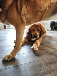 Hudson - Photo 7
