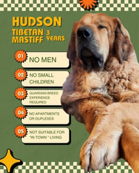 Hudson - Photo 5