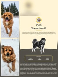 Hudson - Photo 3