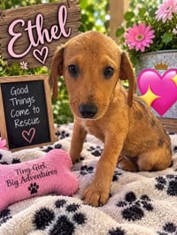 Ethel - Photo 1