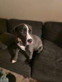 Daisy Mae - Photo 2