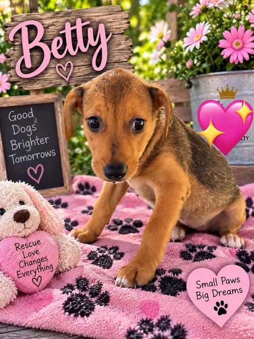 BETTY