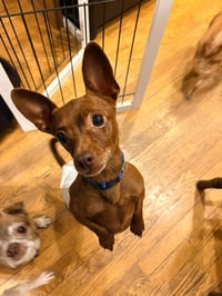 Eugene - Photo 2
