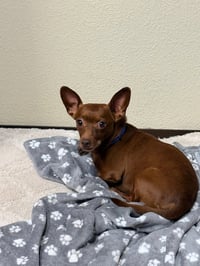 Eugene - Photo 3