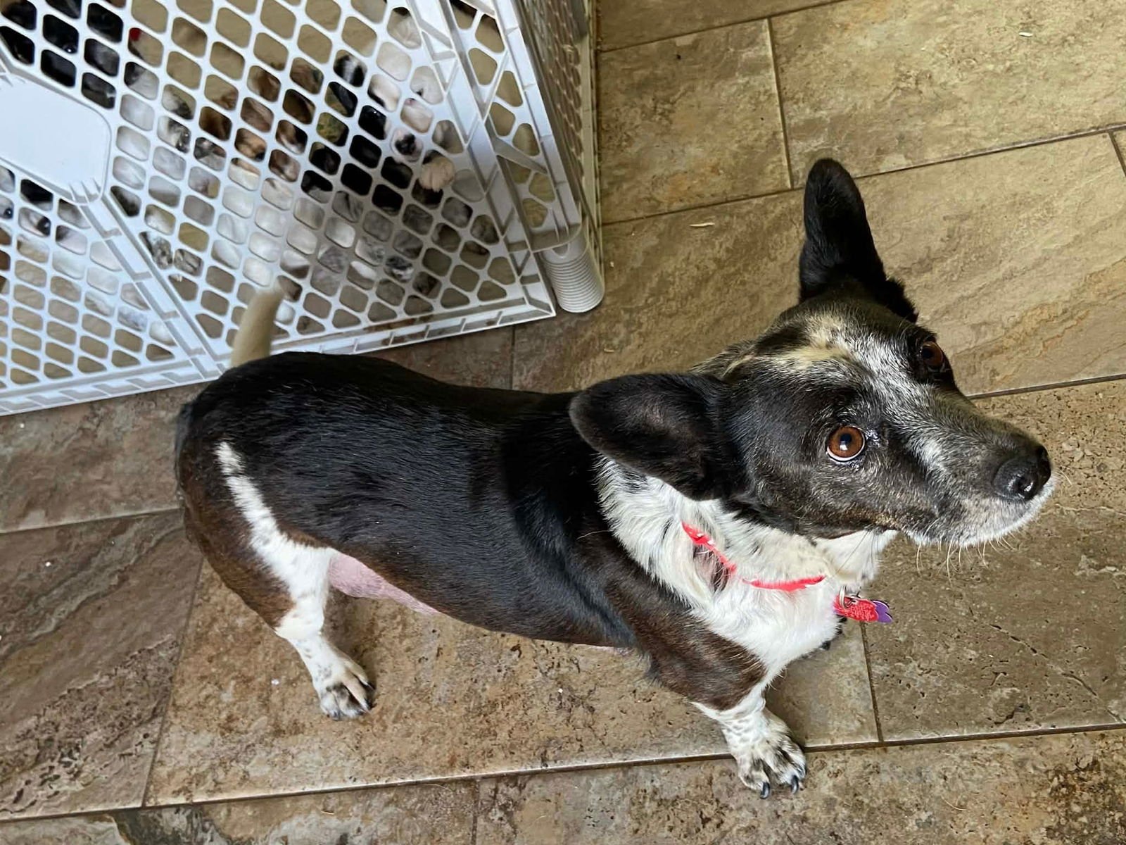 Girly Girl - Photo 3