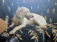 Jeff - Photo 3