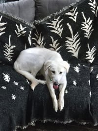 Jeff - Photo 1