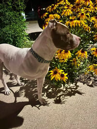 Rigsby - Photo 4