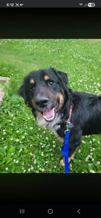 Hughie - Photo 5