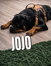 Jojo - Photo 3