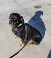 Oakley - Photo 4