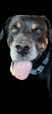 Maxwell - Photo 4