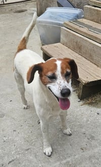 Heidi - Photo 3