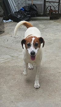 Heidi - Photo 2