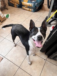 Kaia - Photo 1