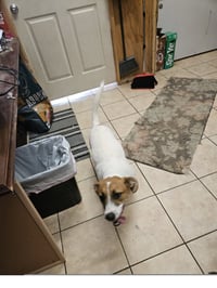 Bitsy - Photo 3
