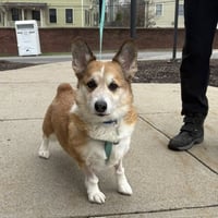 SULLY - Photo 1