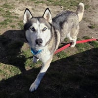 NYMERIA - Photo 1