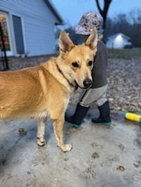 Sandy - Photo 3