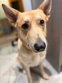 Sandy - Photo 4