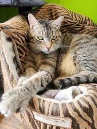 Kendra - Photo 3