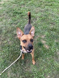 Axel - Photo 1