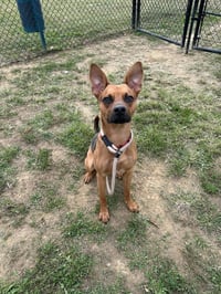 Axel - Photo 4
