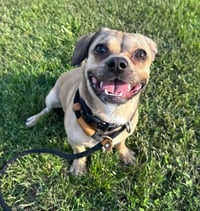 Oliver - Photo 2