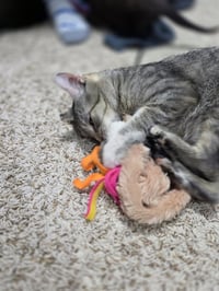 Freya - Photo 4