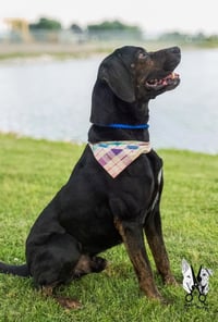 Walter - Photo 3