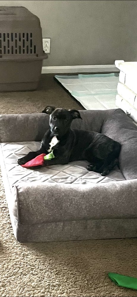 Molly (Pleasant) - Photo 3