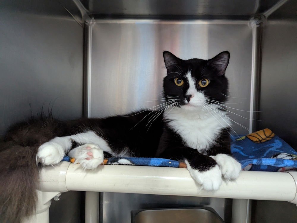 Chuck Bass - Photo 3