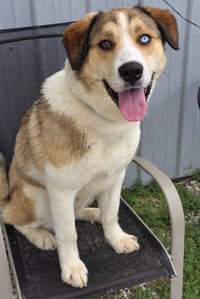Bodie - Photo 1