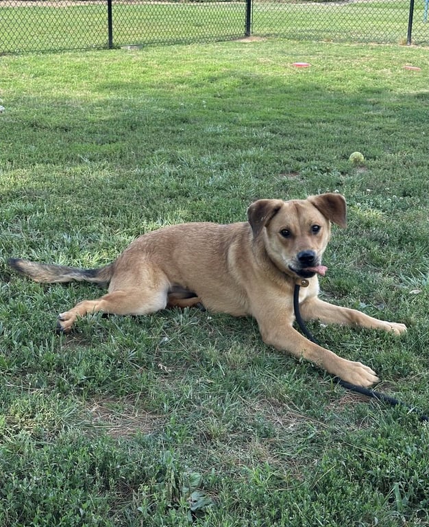 Zellie Image