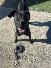 Chalupa - Photo 1