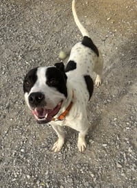 Buddy Zander - Photo 3