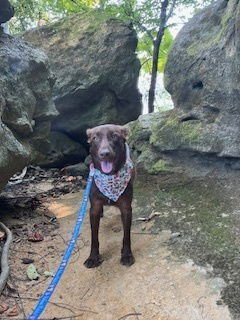 Coffee Bean - Photo 3