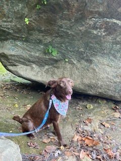 Coffee Bean - Photo 4