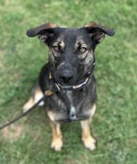 Zora "Hazel - Photo 2