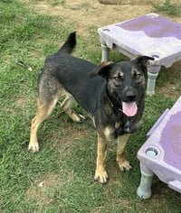 Zora "Hazel - Photo 3