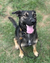 Zora "Hazel - Photo 4