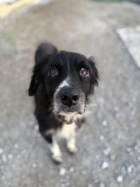 Buddy Radlee - Photo 2