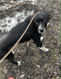 Buddy Radlee - Photo 3