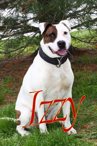 Izzy - Photo 4
