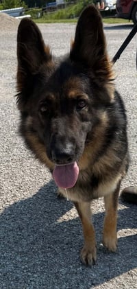 Heidi - Photo 1