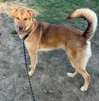 Luna T - Photo 3