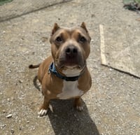 Beckham Cooper - Photo 2