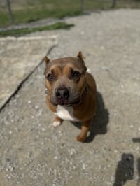 Beckham Cooper - Photo 3