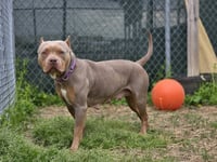 Barb - Photo 1