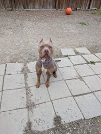 Barb - Photo 3